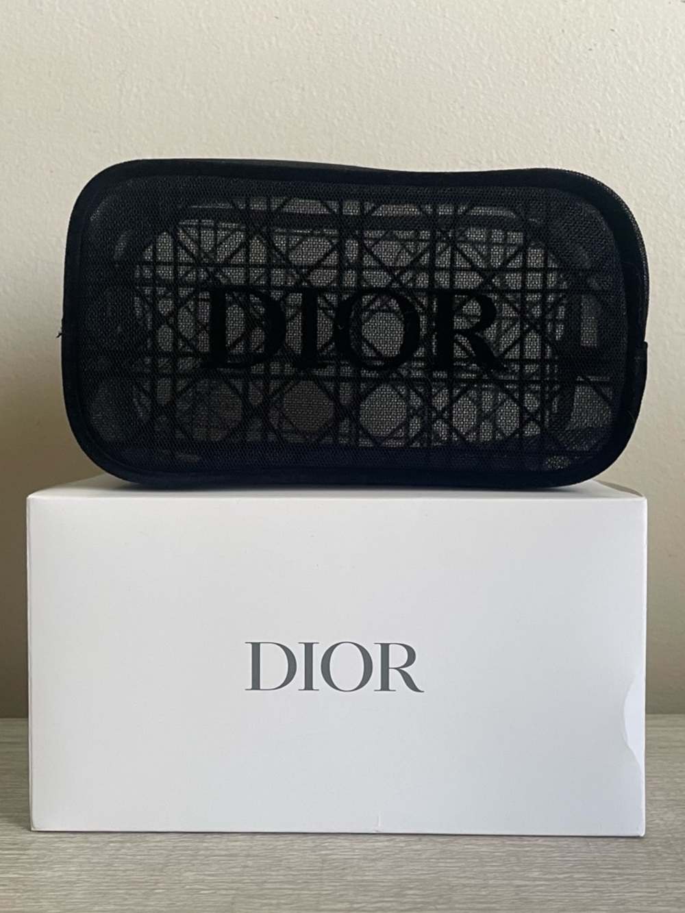 Authentic Dior Black Mesh Logo Case. New.
